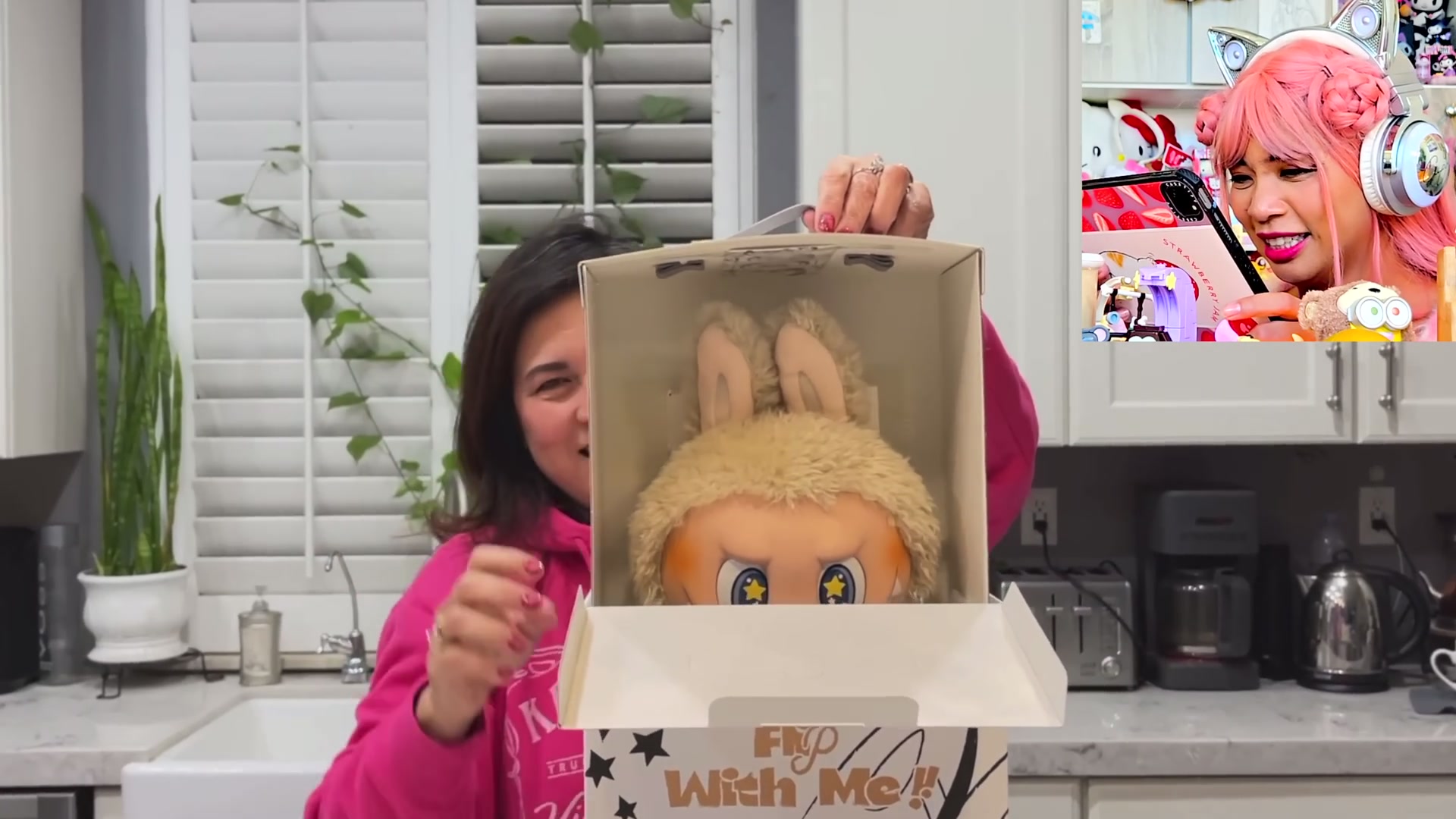 Giant Labubu Unboxing