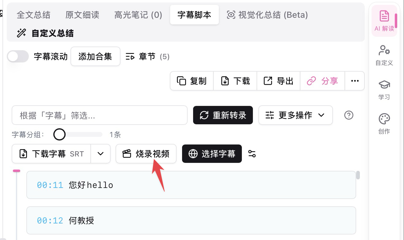 Burn video button on the subtitle script toolbar